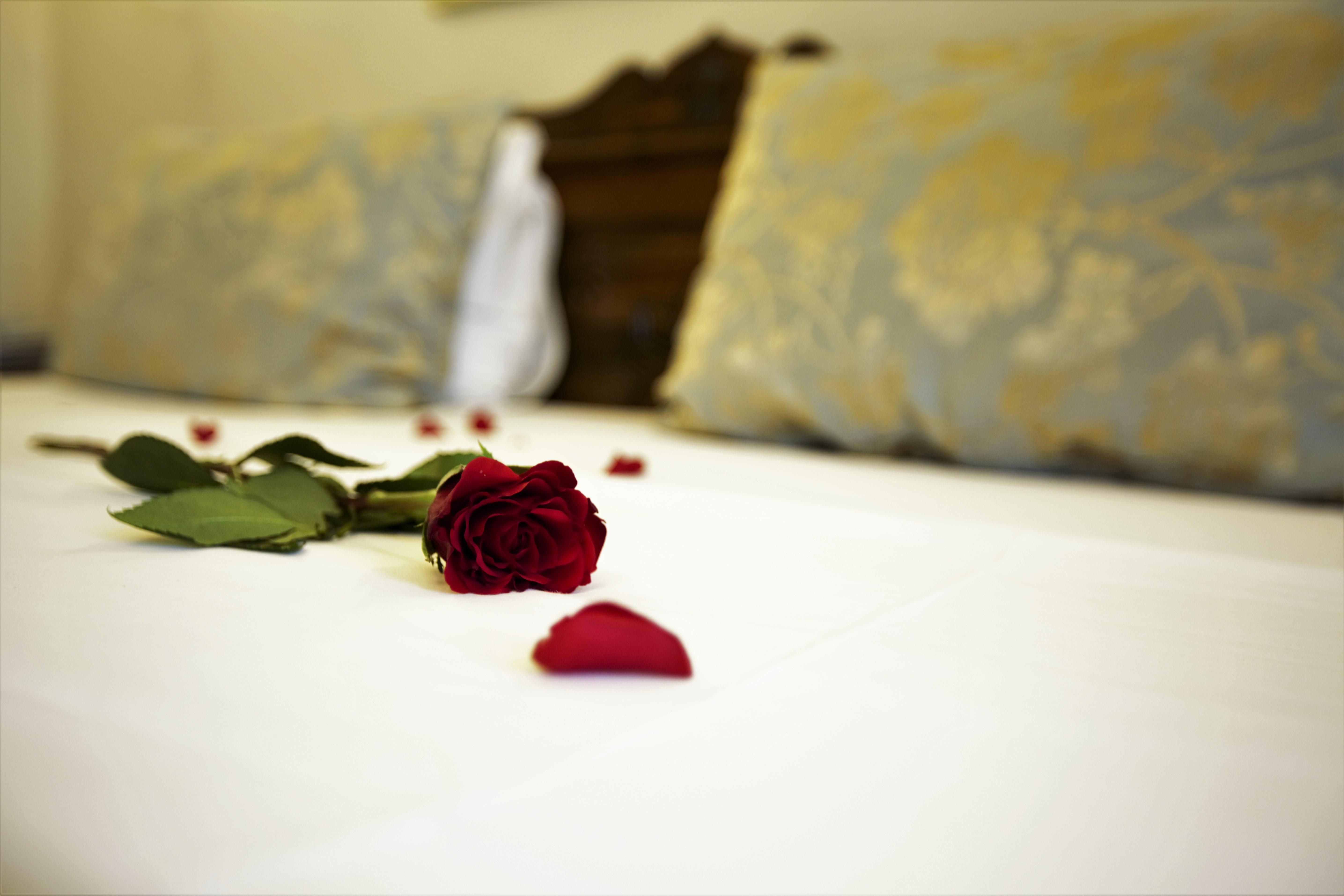 Oba Hotel Istanbul Ngoại thất bức ảnh